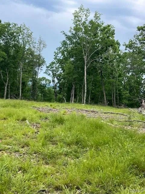 Property from 237 Madison CR 410 - KW - Fredericktown, Missouri, 63645