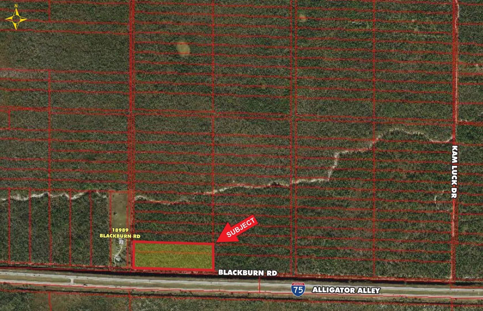 Vacant Land in Naples - land for sale