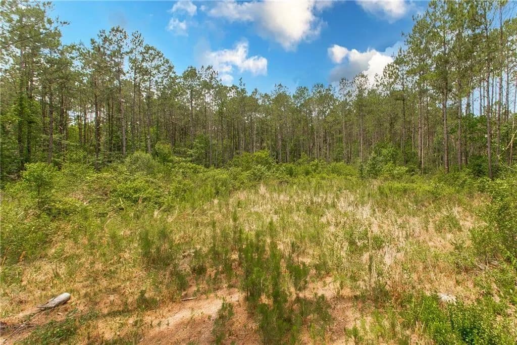 7 Acres of Land for Sale in Abita Springs, Louisiana - Abita Springs, Louisiana, 70420