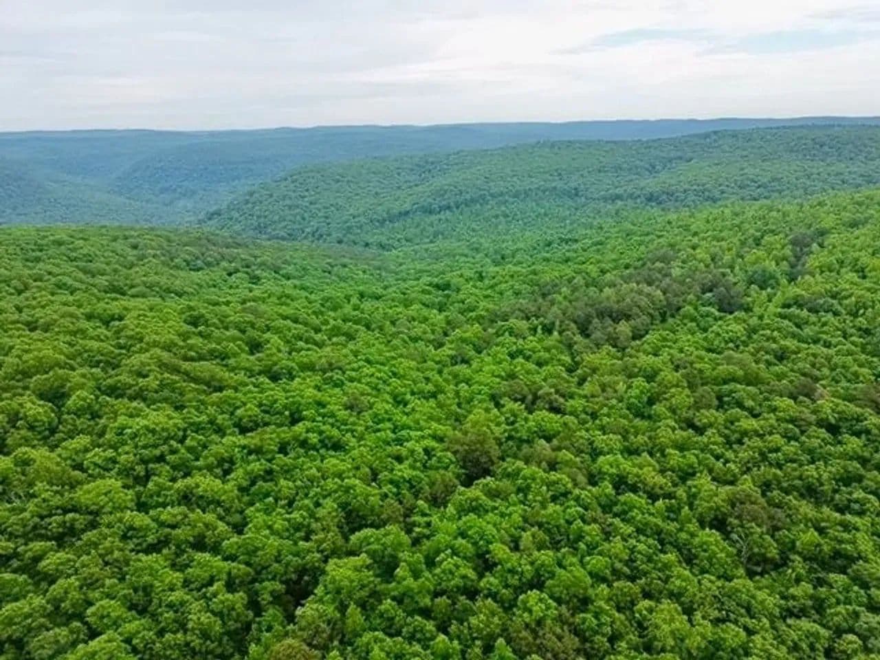 NC 60 - Parthenon, Arkansas, 72666