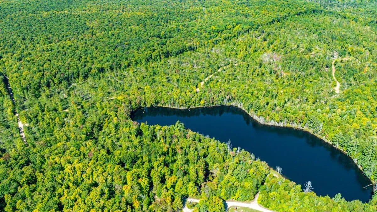 Horseshoe Lake Road - land for sale