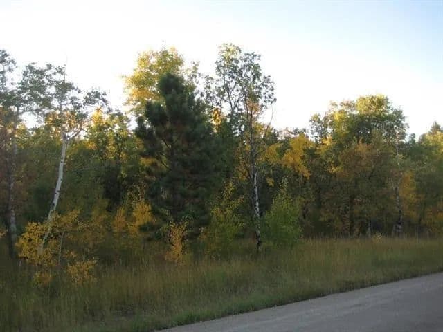 Property from Sturgis, SD 57785 - KW - Sturgis, South Dakota, 57785