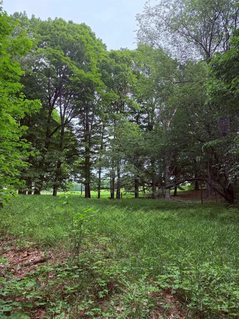 Property from unit 11 Kadi Lane - KW - , Michigan, 49650