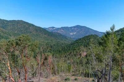 Savage Creek 311 acres with 3 homesites
