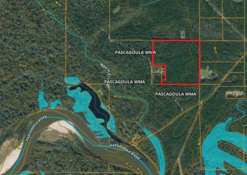 40 Acres Adjacent to the Pascagoula River WMA!!!