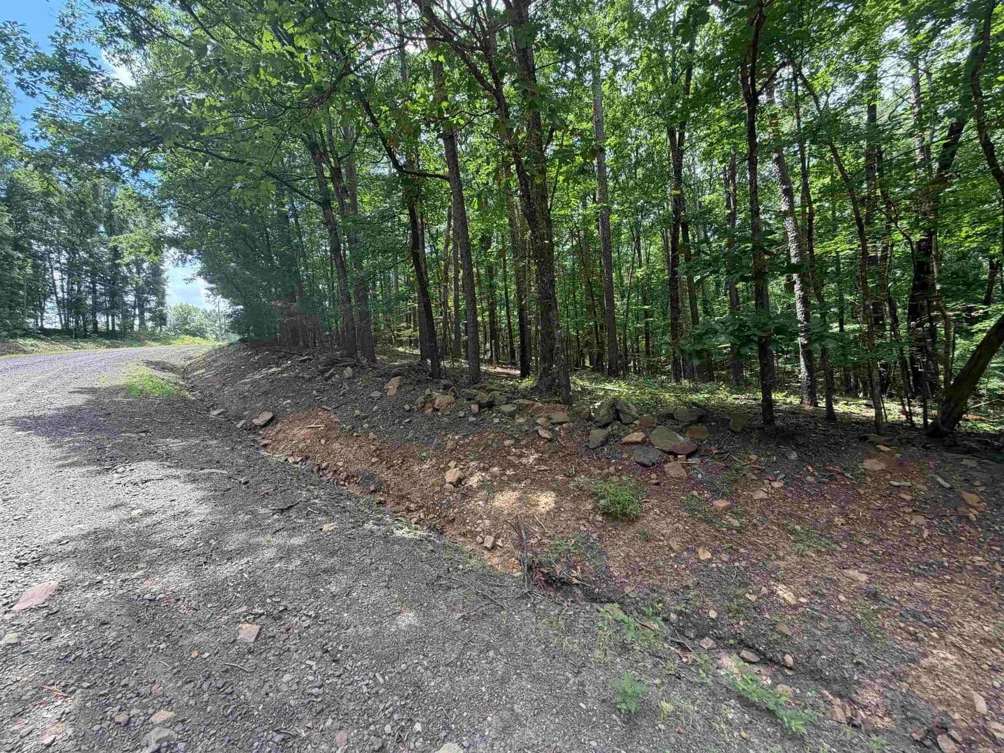 0.5 Acres of Land for Sale in Clinton, Arkansas - Clinton, Arkansas, 72032