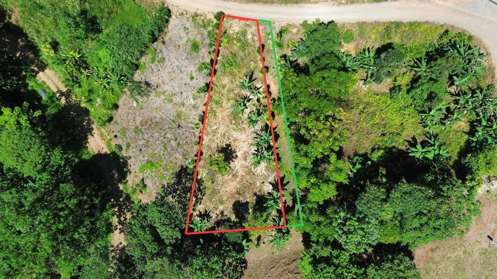 Venta de lote de 720 m2 en San Isidro de El General - land for sale