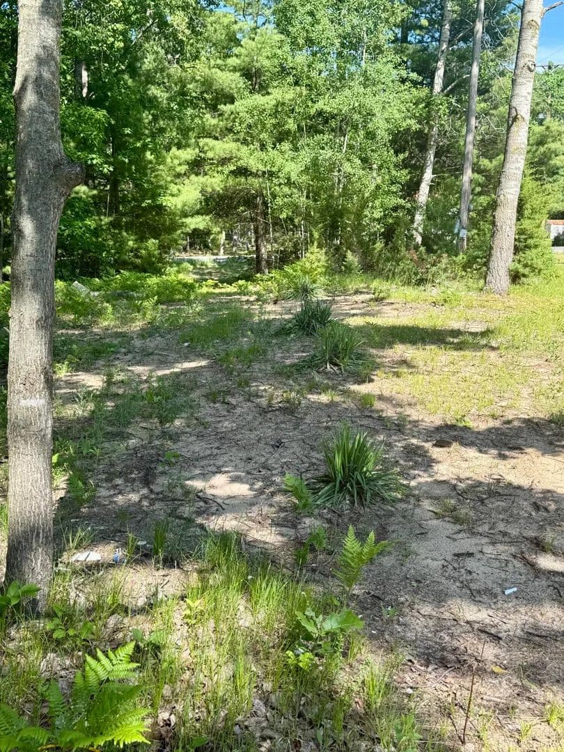 Property from 998 Grass Lake Avenue - KW - Lake, Michigan, 48632
