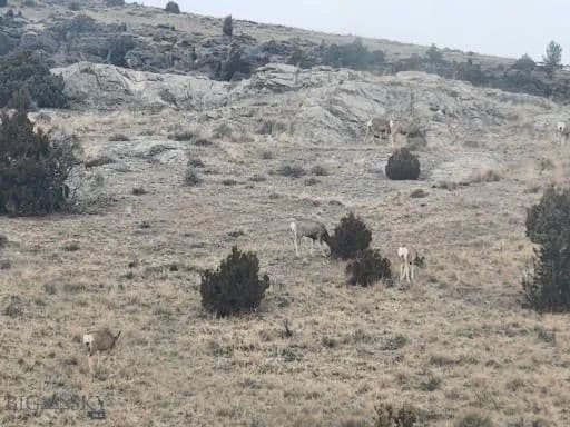 45.8 Acres of Land for Sale in Norris, Montana - Norris, Montana, 59745