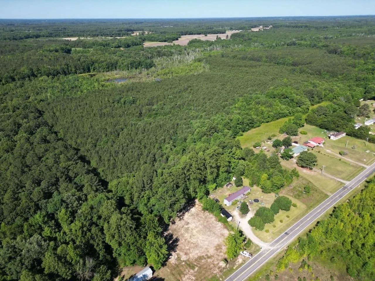 37.19 acres of hunting and timber land for sale in Halifax County, NC! - Enfield, North Carolina, 27823