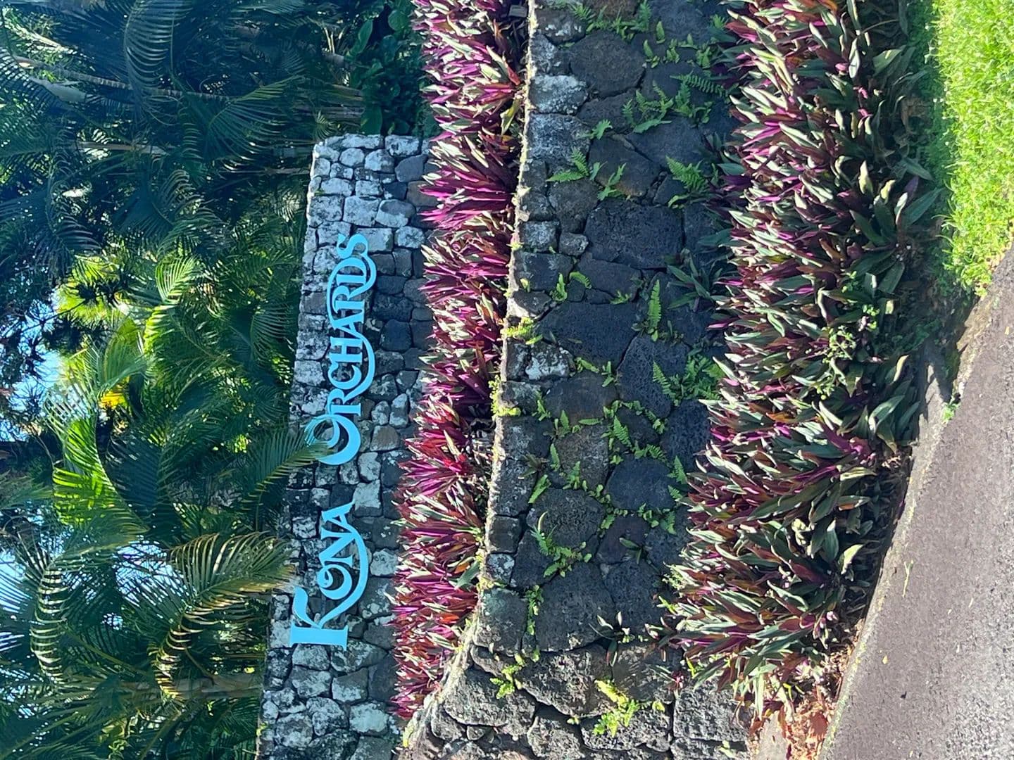 Vacant Land in Kailua Kona - land for sale