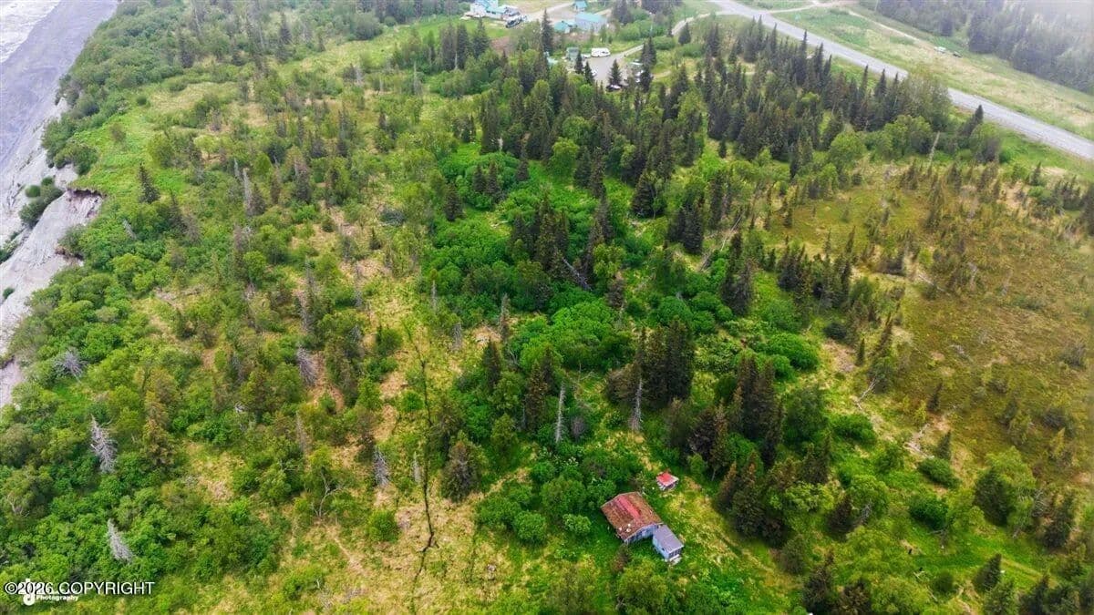 29.77 Acres of Land for Sale in Ninilchik, AK - Ninilchik, Alaska, 99639