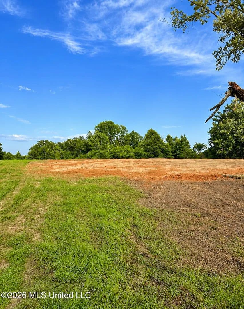 Property from 8847 County Road 77 - KW - Mize, Mississippi, 39116