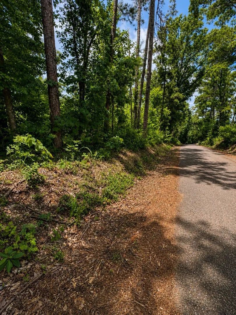 Property from TBD CR 4170 - KW - Laneville, Texas, 75667