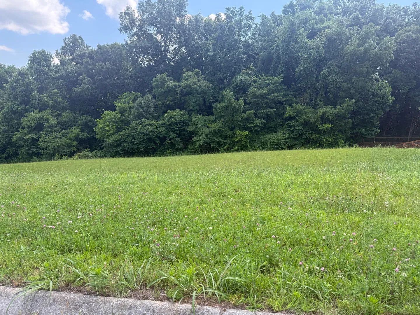 Property from 0 Castlebury Drive - KW - Jefferson City, Tennessee, 37760