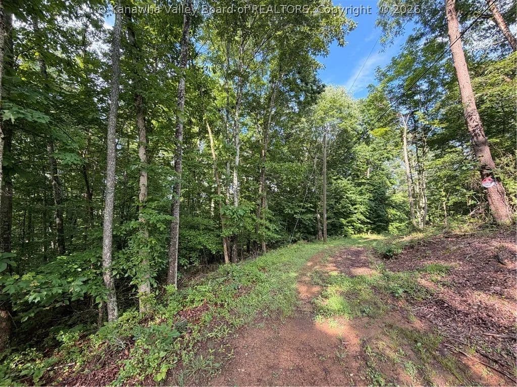 Property from 0 County Road 28 Road - KW - Tornado, West Virginia, 25202