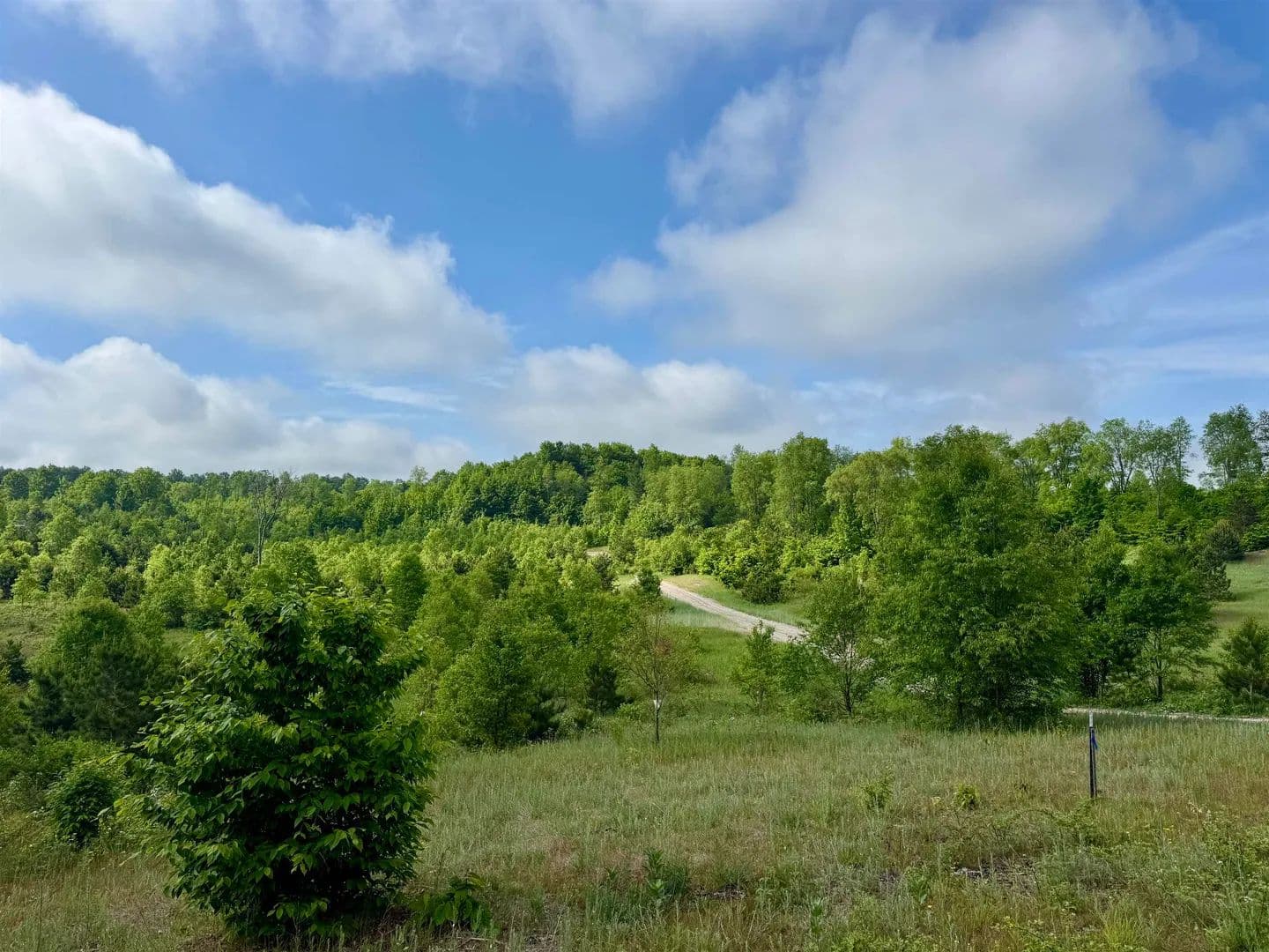 Property from A5 & A9 Kasson Road - KW - Michigan, 49664