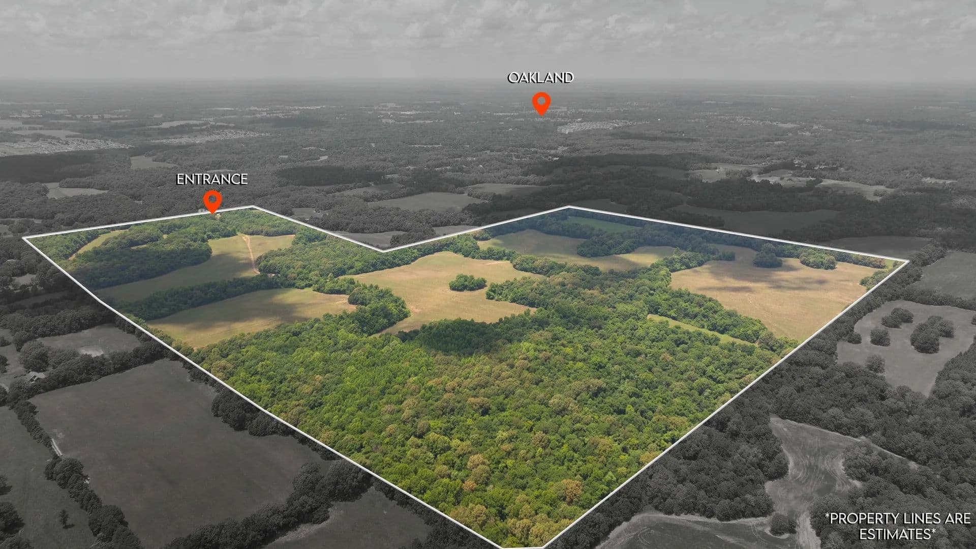 Vacant Land (10+ Acres) in Oakland - Oakland, Tennessee, 38060