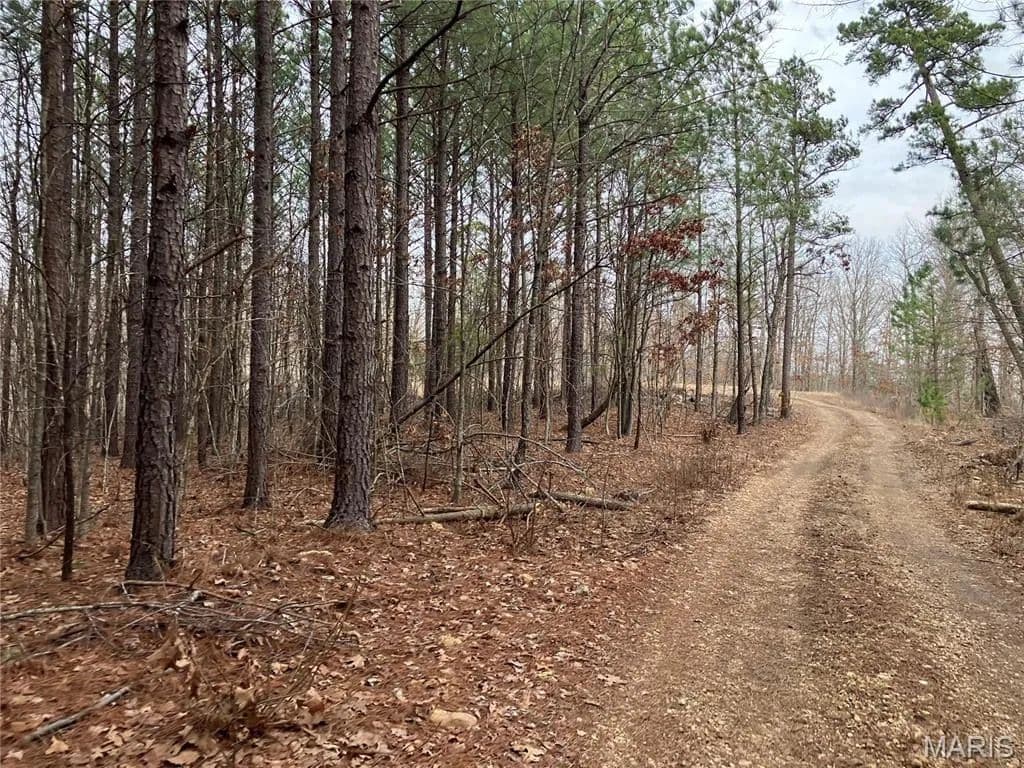 Property from 252 Madison CR 410 - KW - Fredericktown, Missouri, 63645
