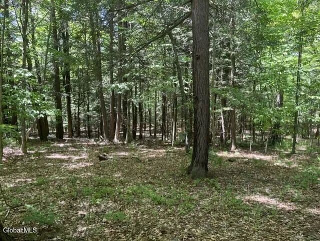 Property from L7 Myers Road - KW - Cobleskill, New York, 12092