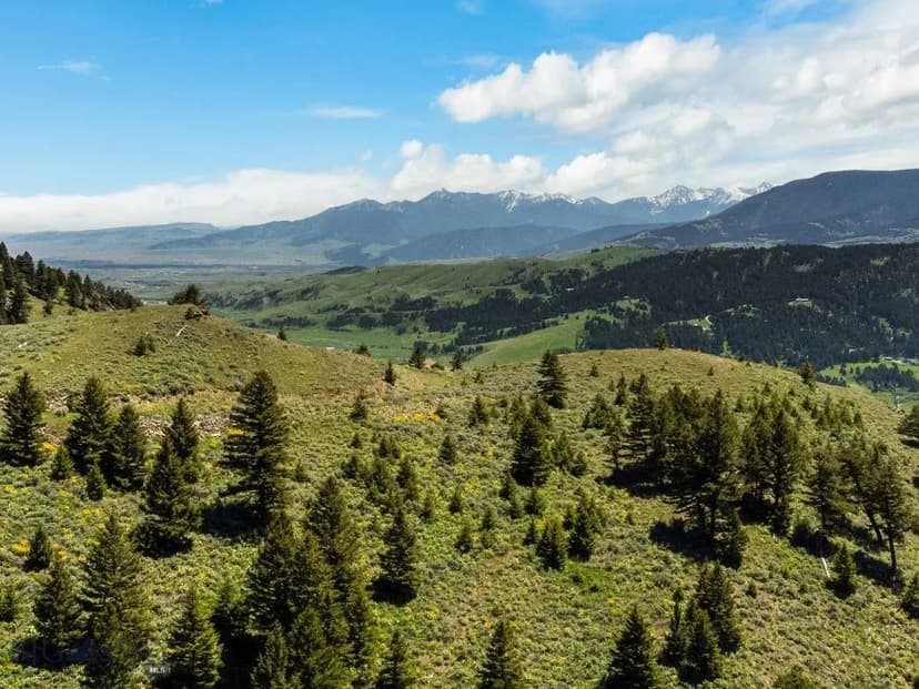 Vacant Land in Livingston