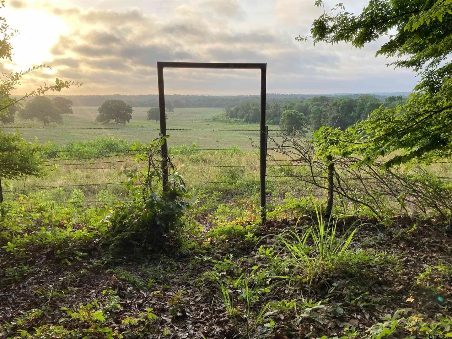 20.03 Acres of Land for Sale in Ben Wheeler, Texas - Ben Wheeler, Texas, 75754