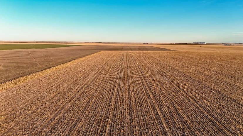 David & Julie Dirks Retirement Land Auction Parcel #1