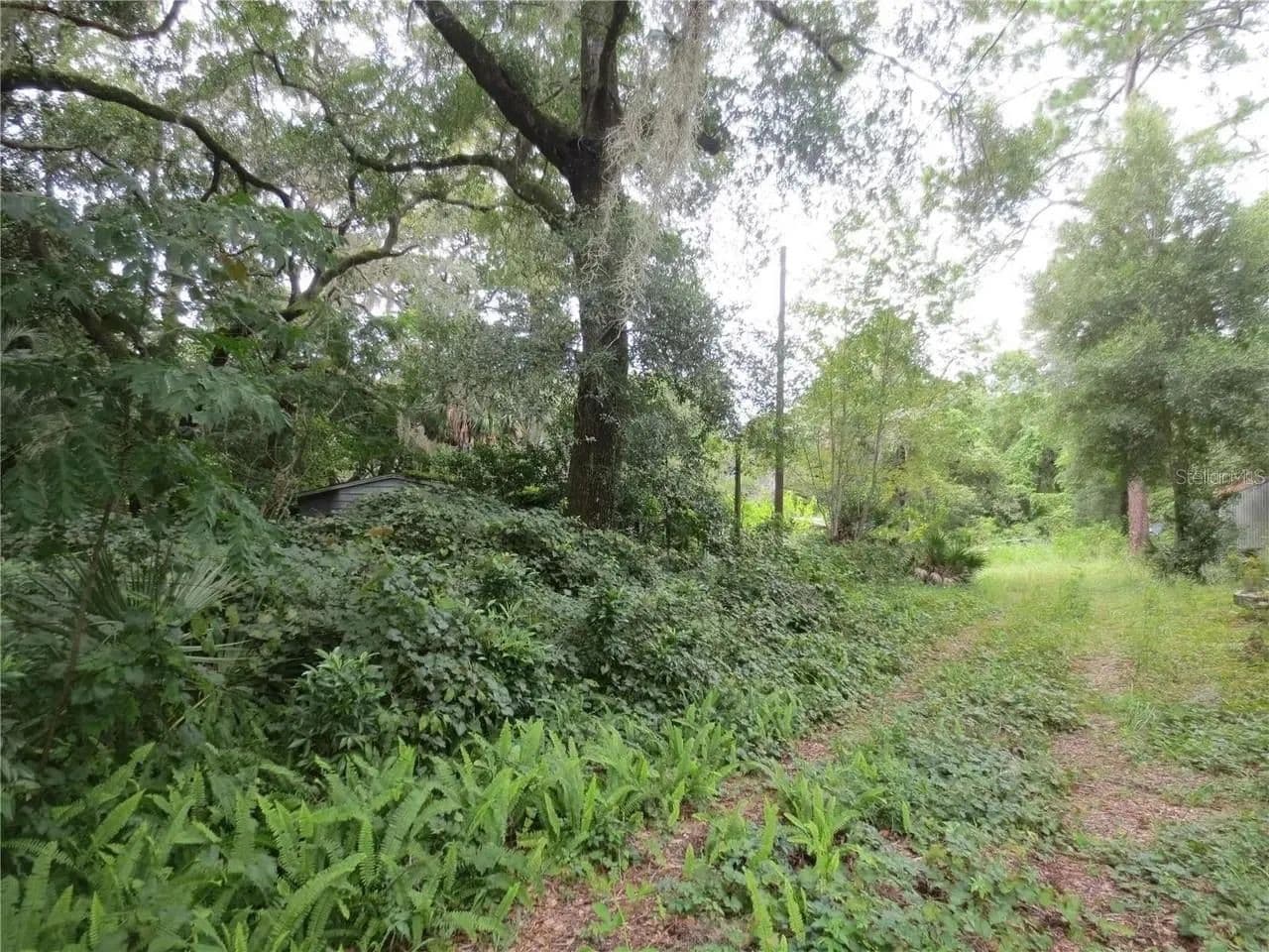 2.3 Acres of Land for Sale in Silver Springs, Florida - Silver Springs, Florida, 34488