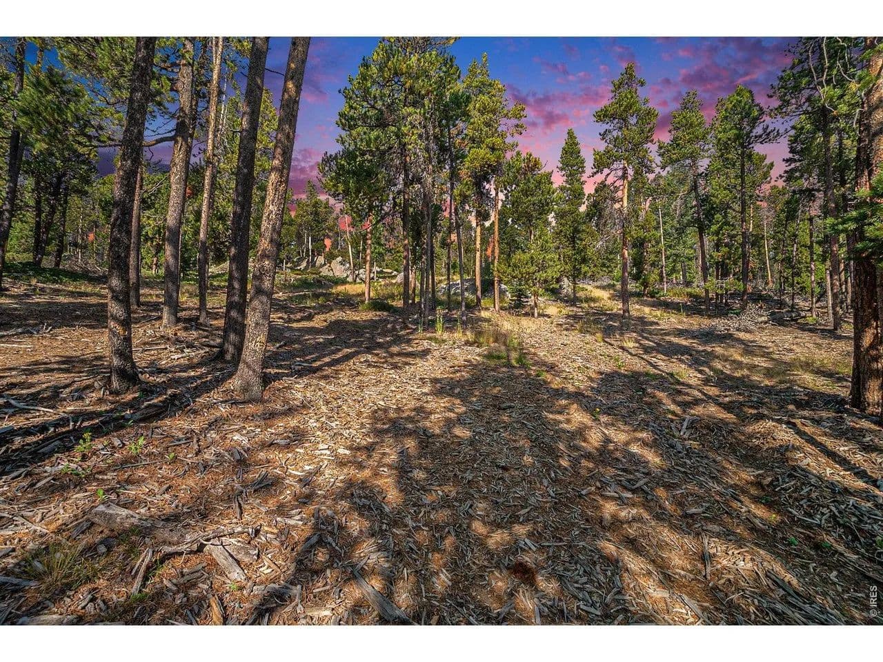 Property from 231 Granite Dr - KW - Drake, Colorado, 80515