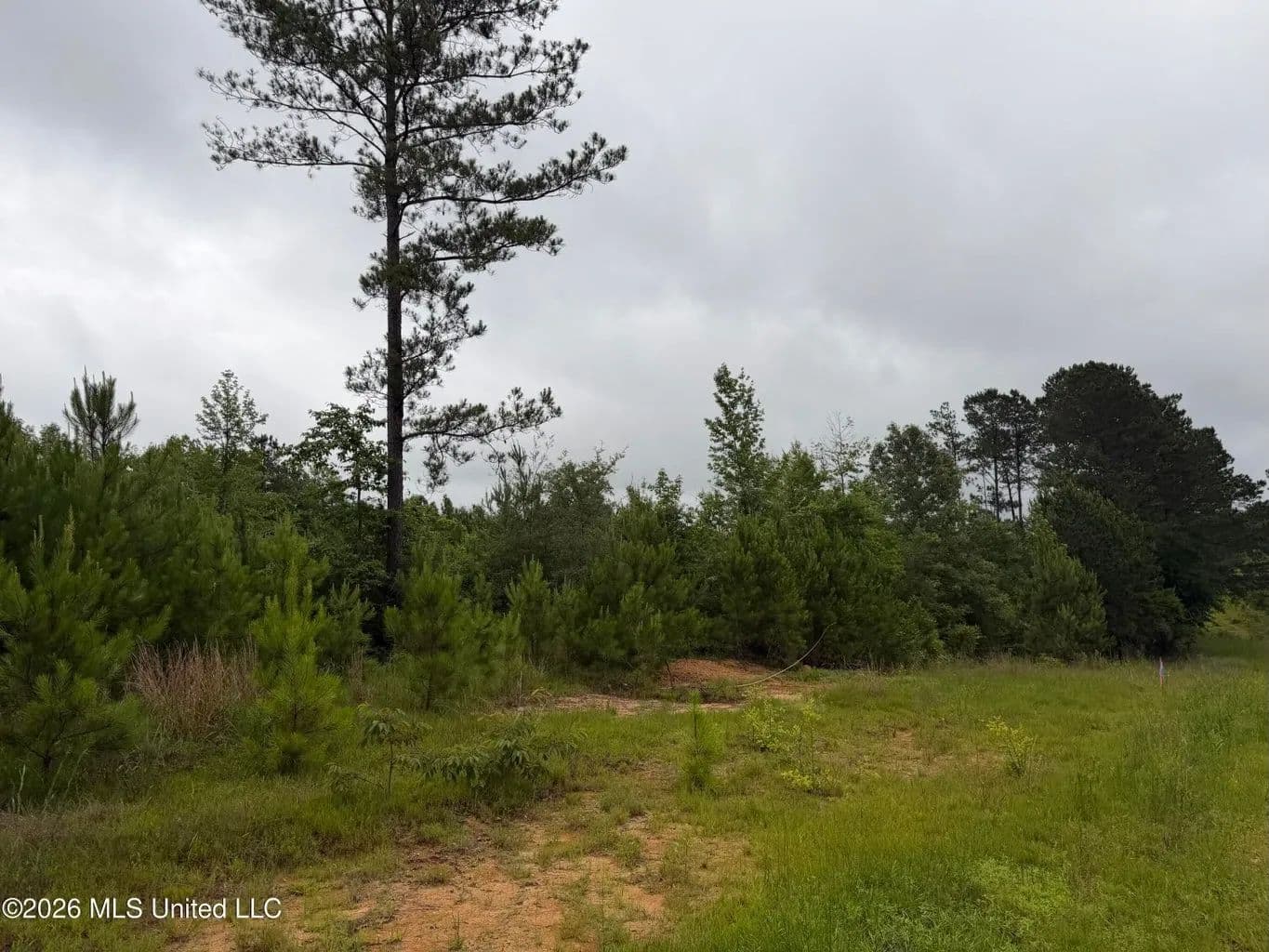 1.58 Acres North Pike School District Summit, MS - Summit, Mississippi, 39666