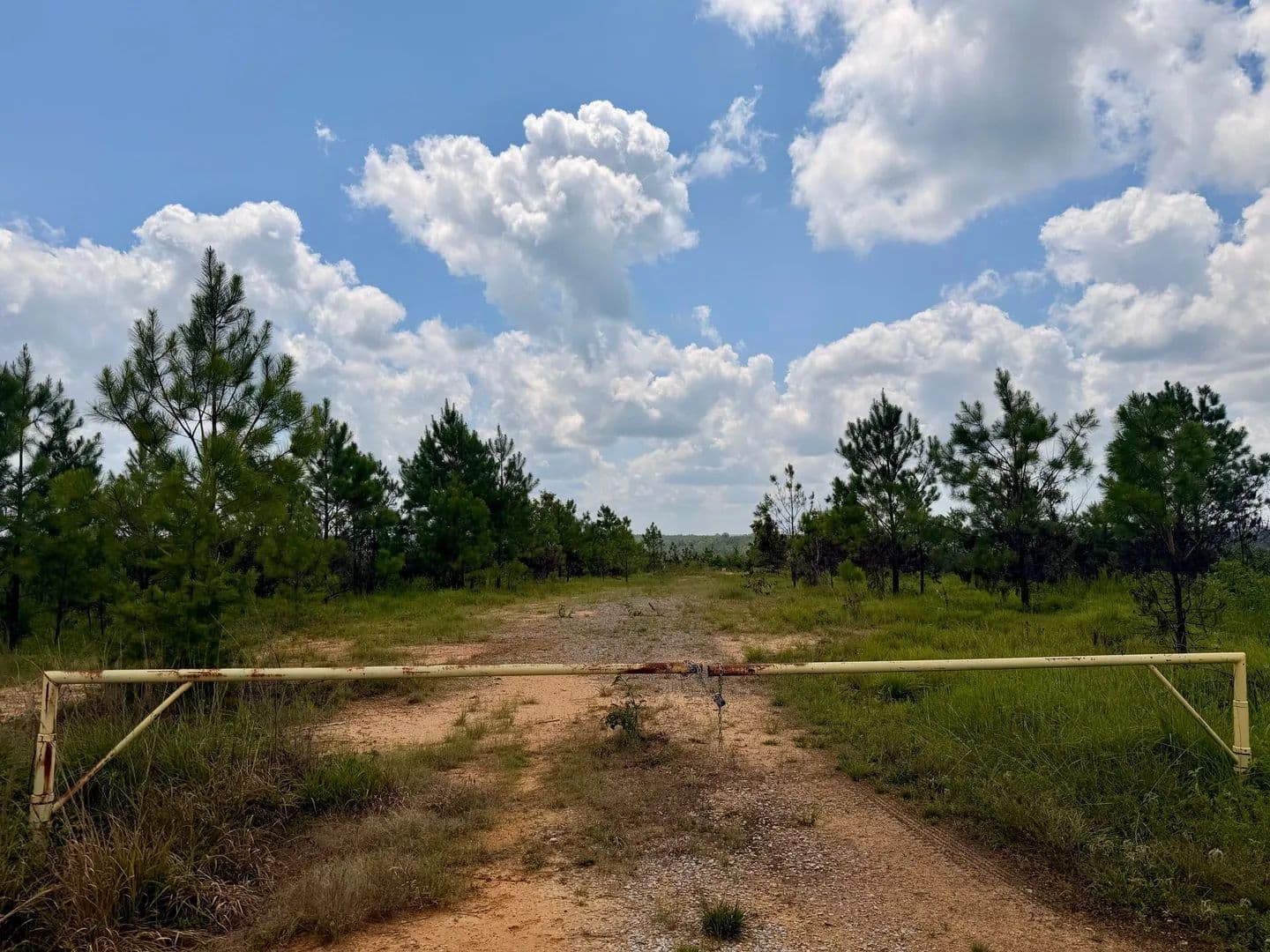 Vernon 99 - Vernon, Alabama, 35592