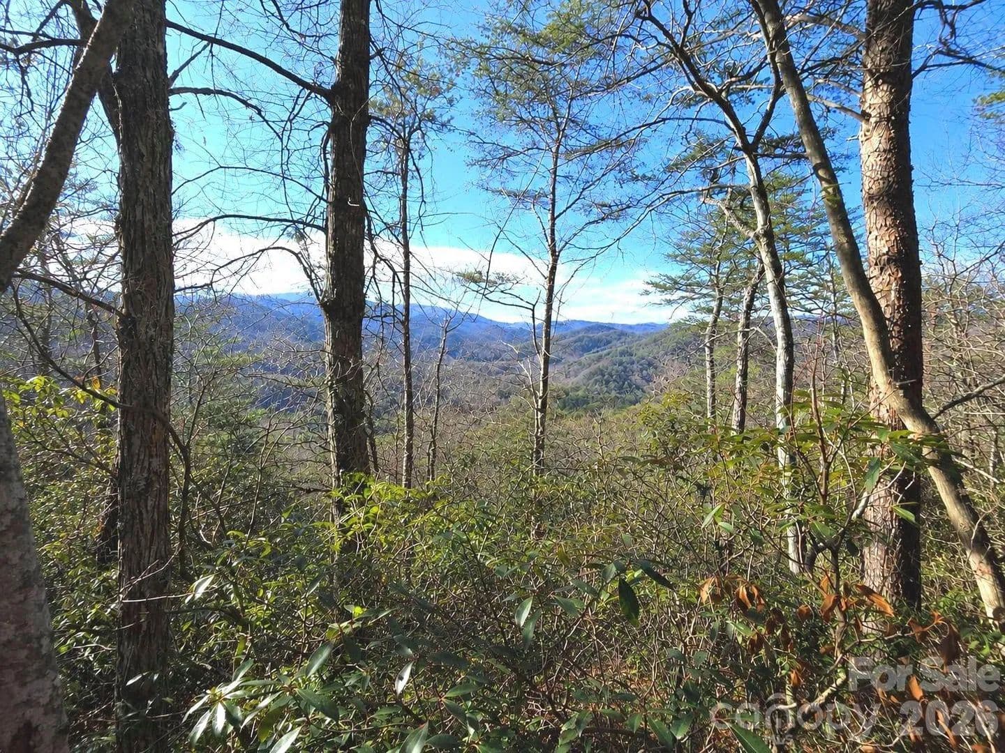 Property from 81 Lucerne Drive - KW - Canton, North Carolina, 28716