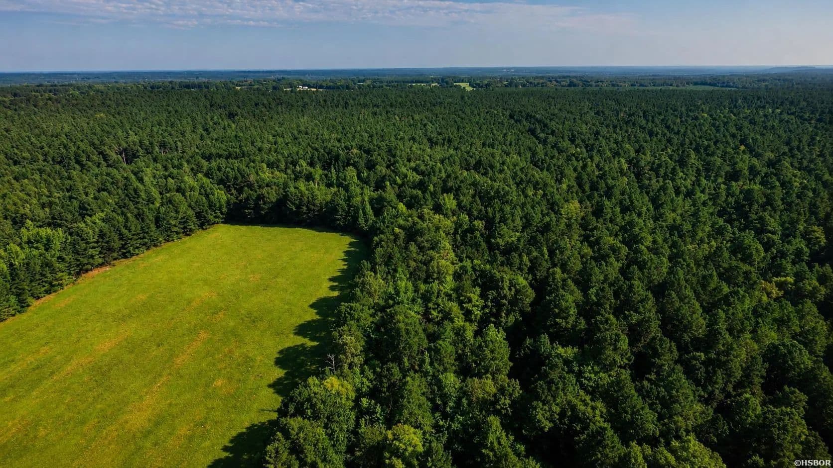 110 Acres of Land for Sale in Arkadelphia, AR - Arkadelphia, Arkansas, 71923
