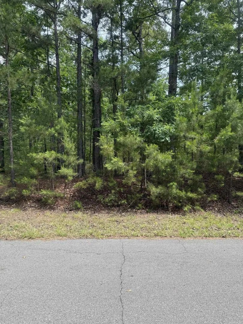 Property from 29 Ballobar Lane - KW - Hot Springs Village, Arkansas, 71909