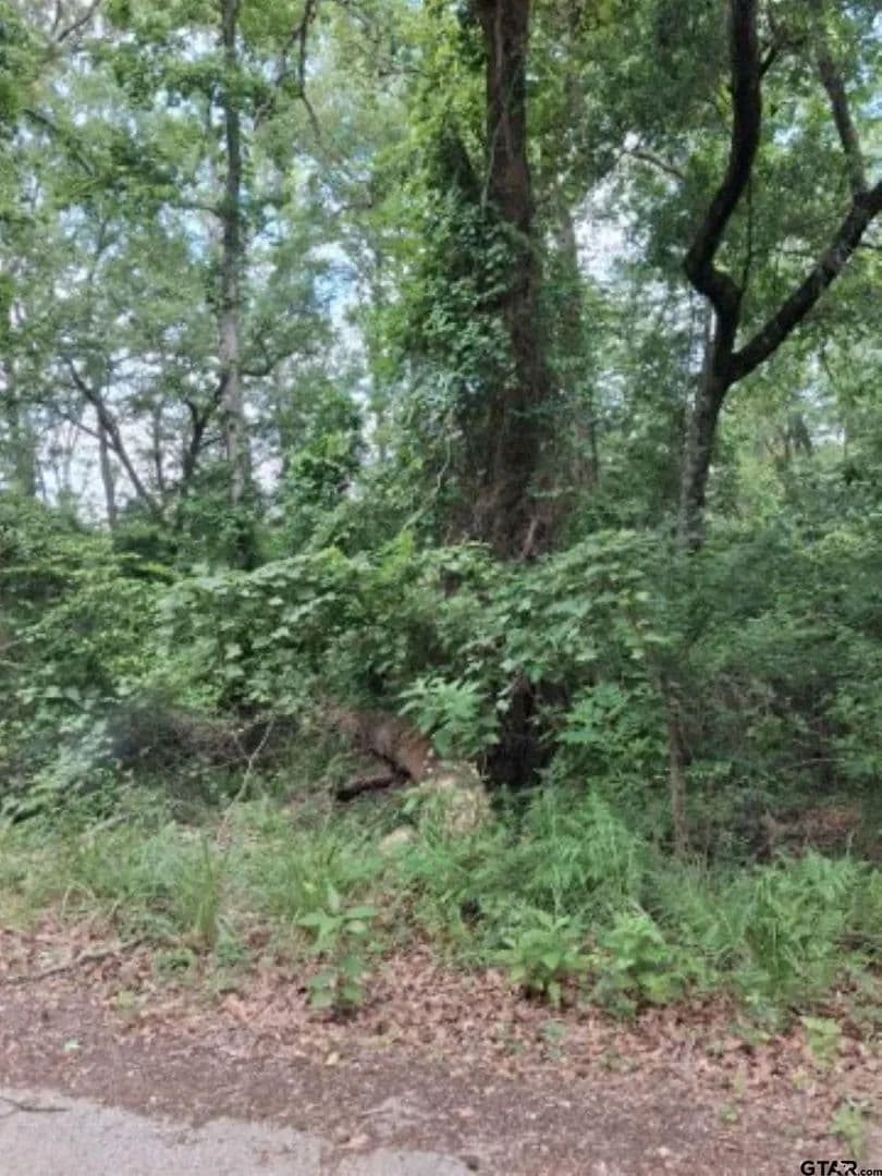 Property from tbd Dogwood drive #tbd Dogwood drive - KW - Murchison, Texas, 75778
