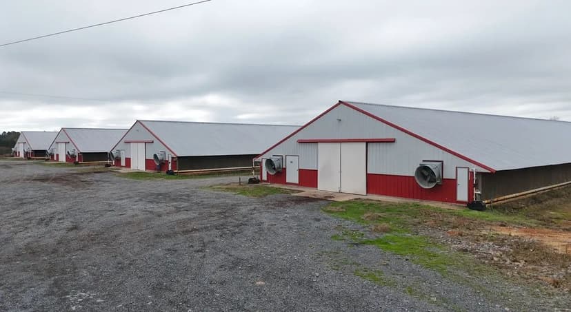 10 House Poultry Farm For Sale in North Louisiana