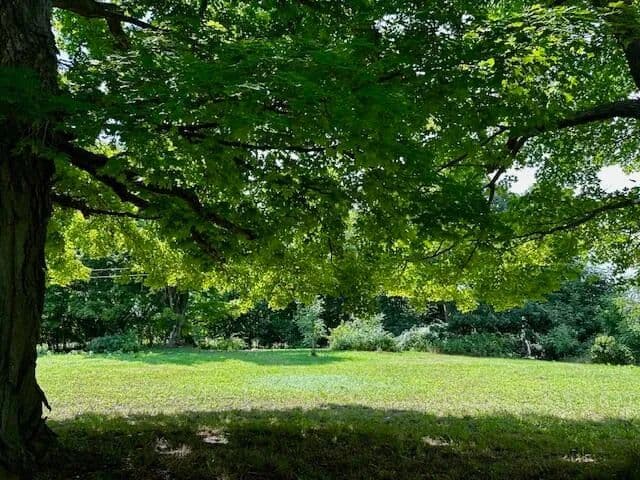 Vacant Land in Hesperia - land for sale