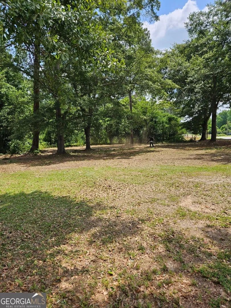 Property from LOT 1 & 2 Garfield Street - KW - Statesboro, Georgia, 30458