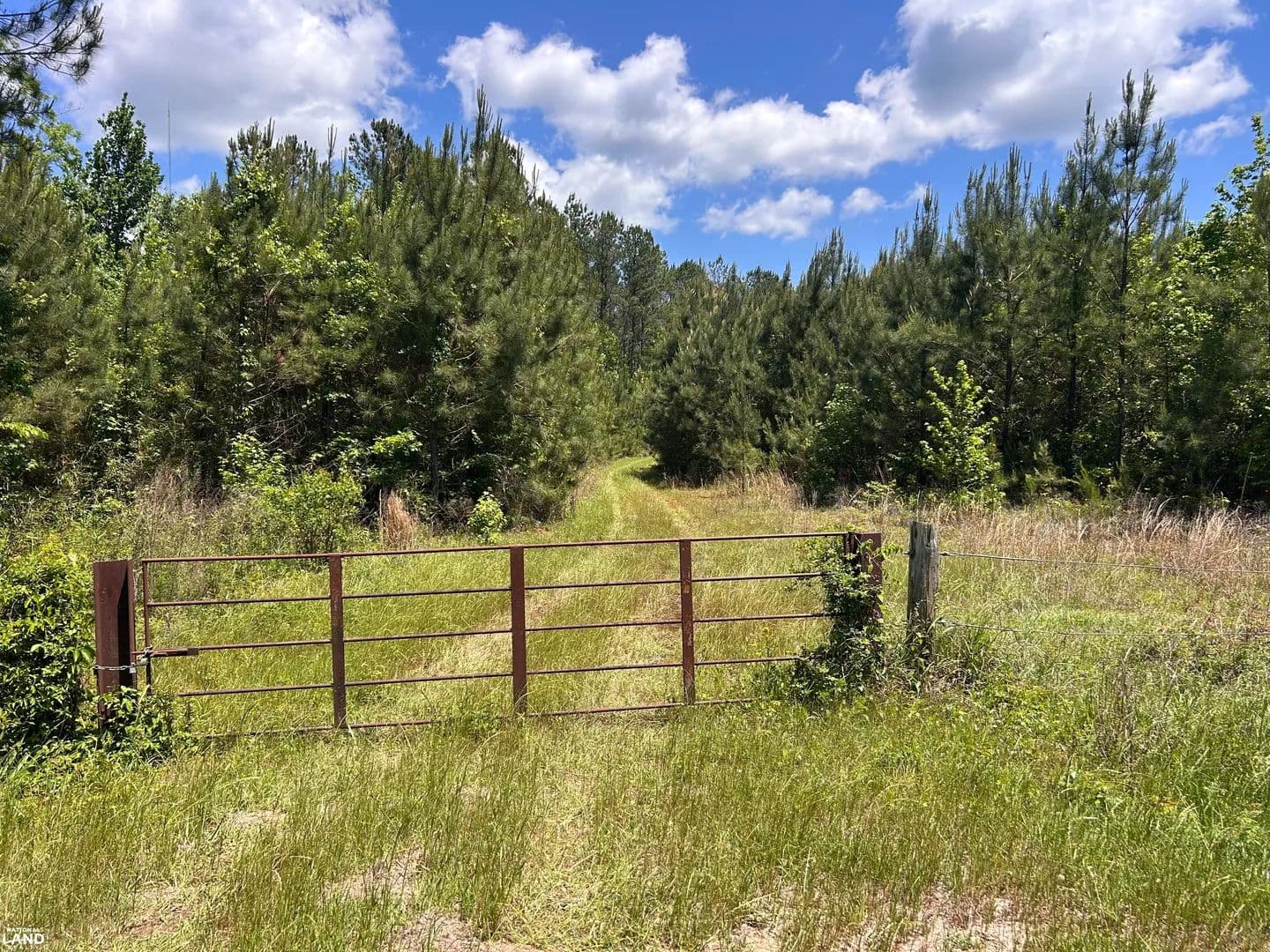 Kent Recreational and Timber Investment - Shady Grove, Alabama, 36035