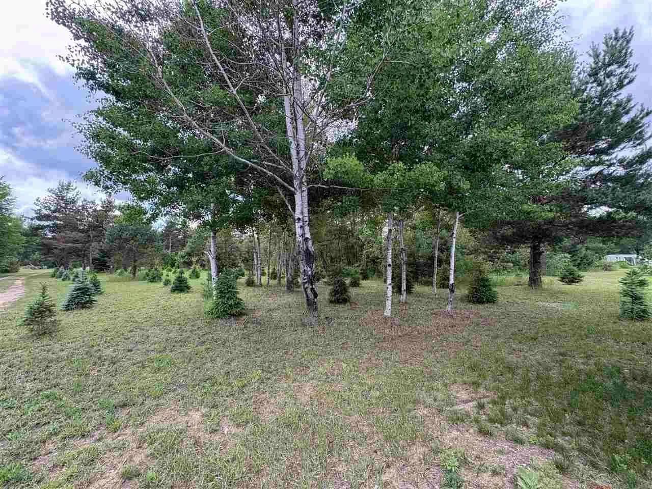10 Acres of Land for Sale in Mancelona, MI - Mancelona, Michigan, 49659