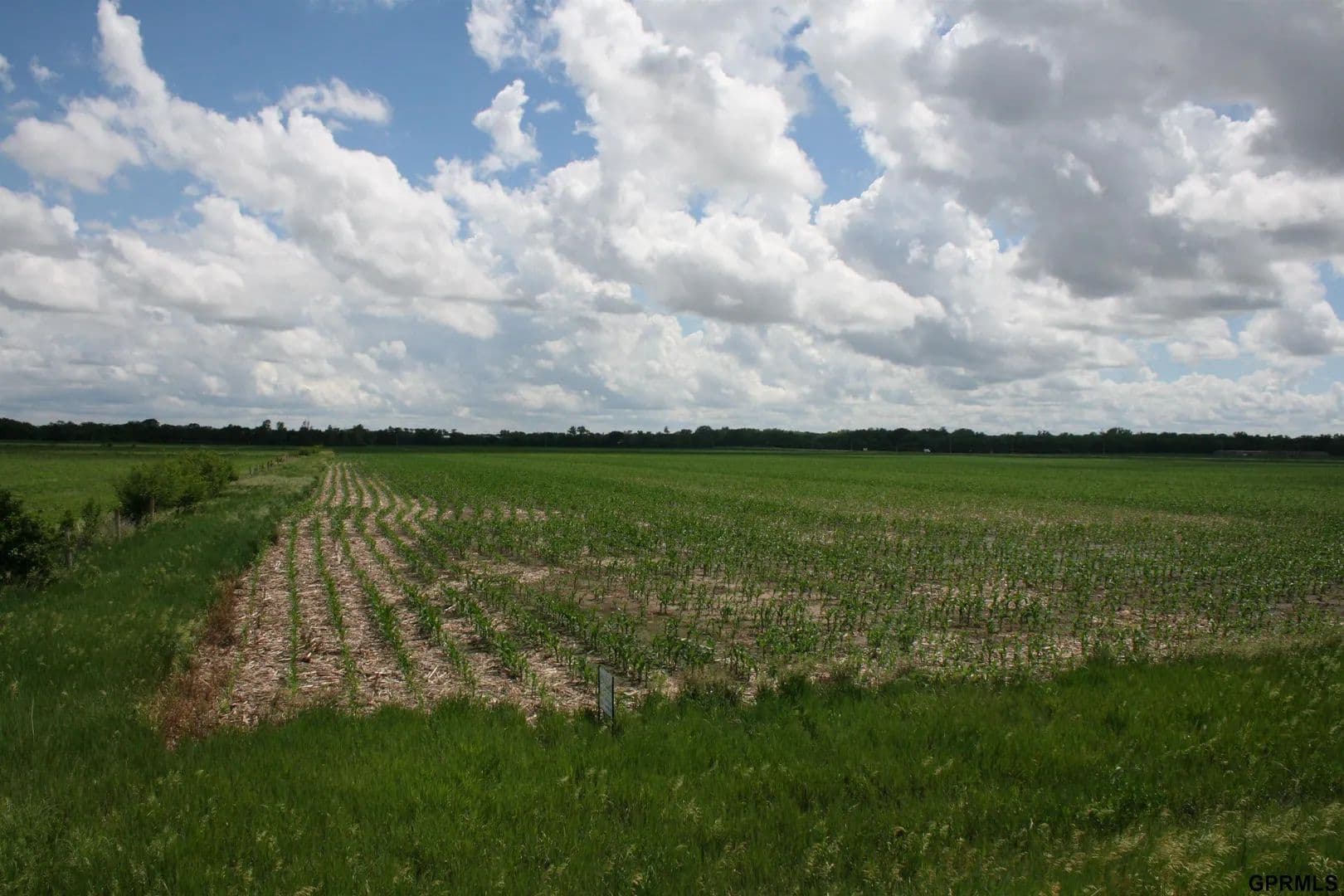 83.31 Acres of Land for Sale in Milford, Nebraska - Milford, Nebraska, 68405