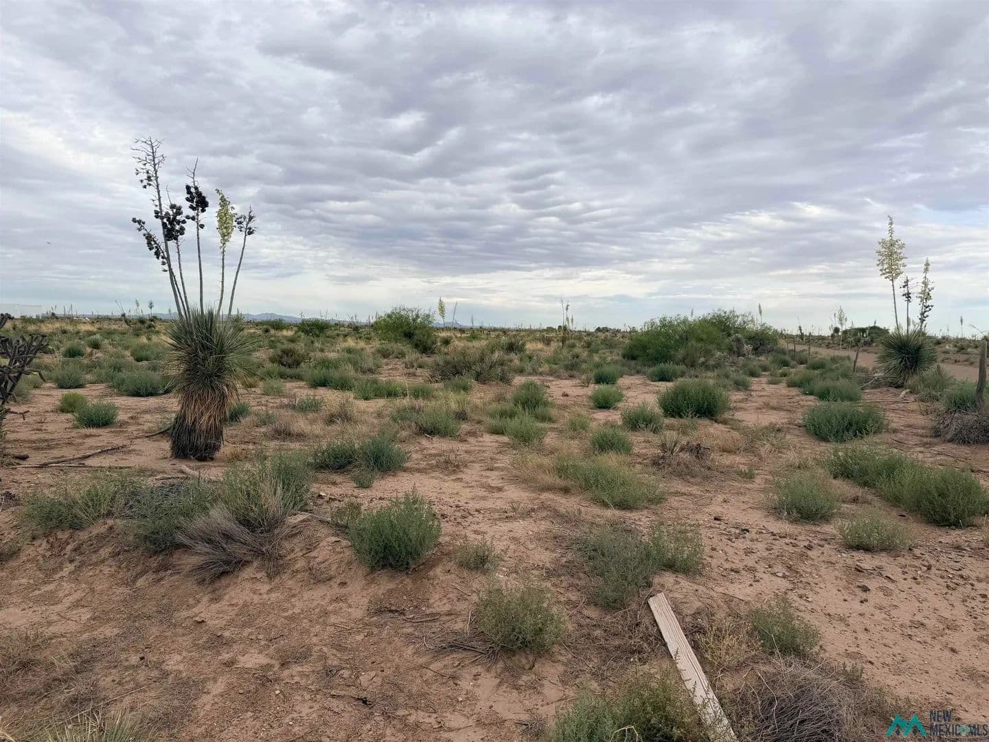Property from XXXX Hondale Rd Sw - KW - Deming, New Mexico, 88030