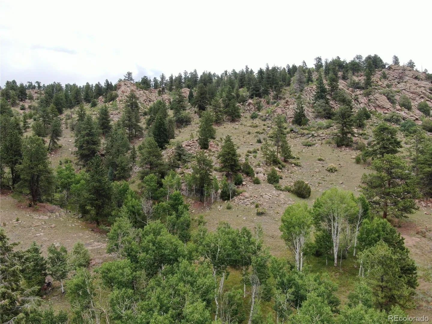 Property from 76 Crocus Circle - KW - Florissant, Colorado, 80816