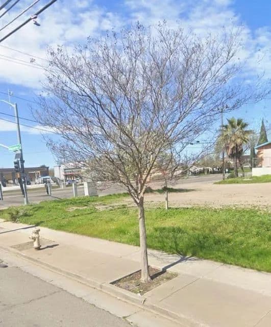 Property from 1313 E Dr Martin Luther King Jr. Boulevard - KW - Stockton, California, 95205