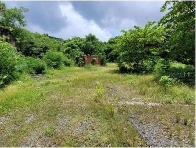 48.55 Acres of Land for Sale in Guaynabo County - land for sale