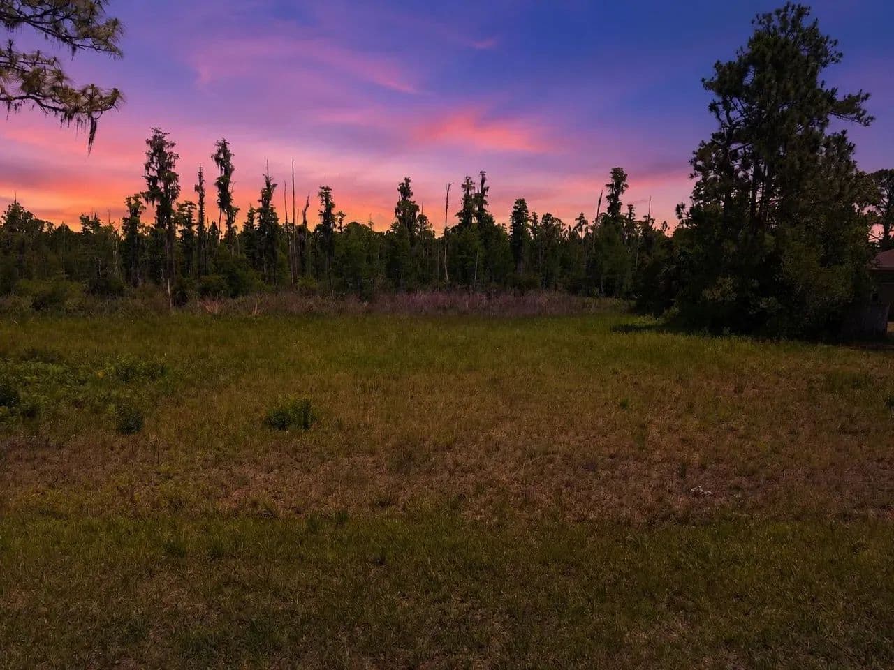 Vacant Wesley Chapel homesite - Wesley Chapel, Florida, 33544