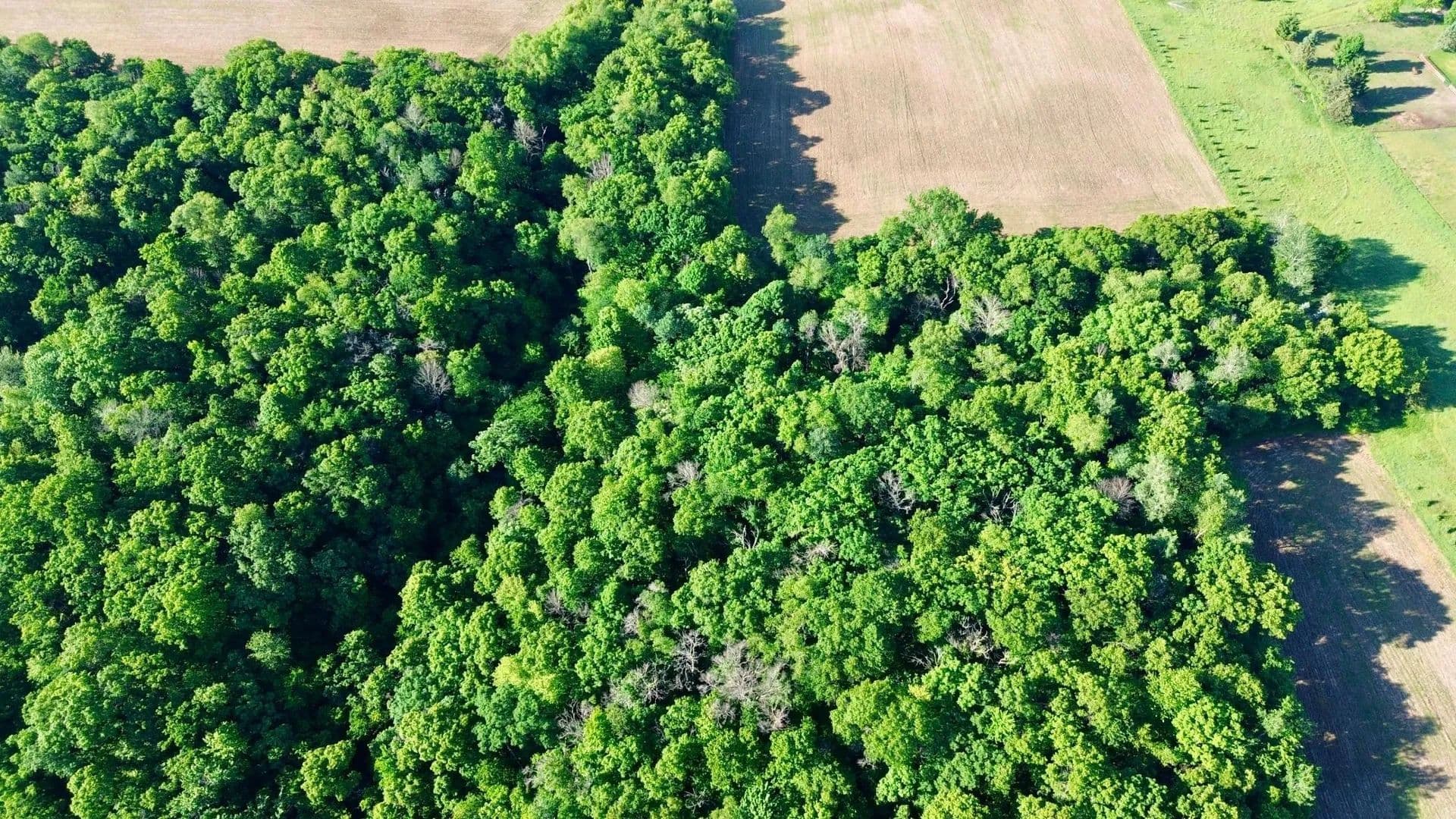 Property from Lot 2 160th Ave - KW - land for sale