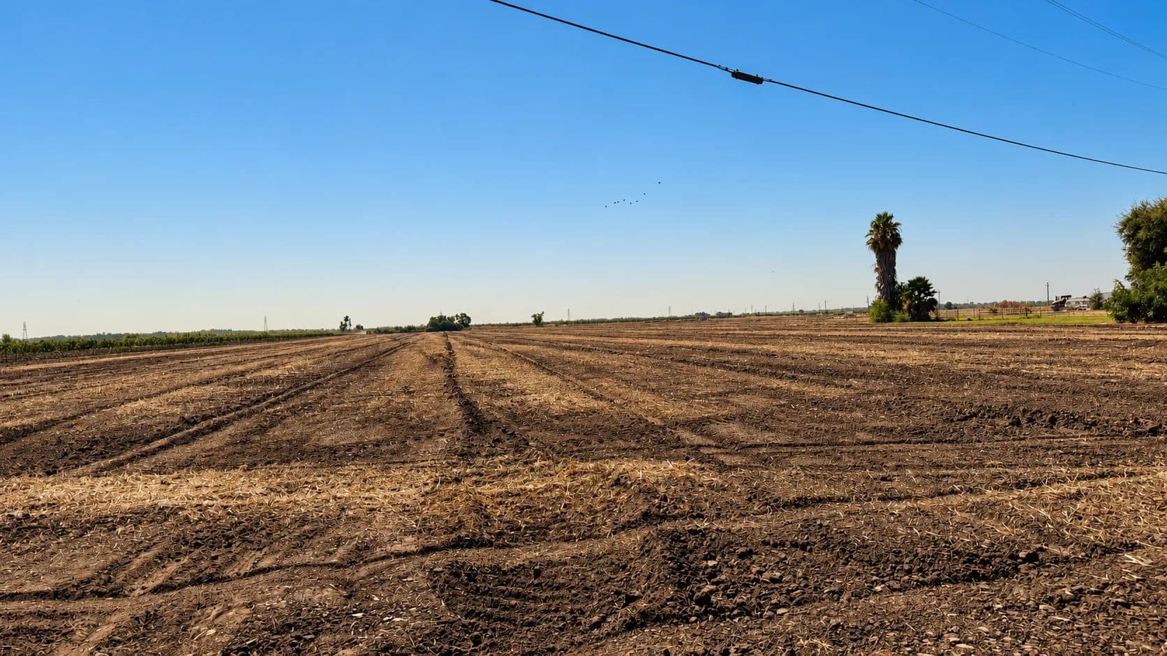 Northern California 20 Acres in Clarksburg for Sale with Riparian Water Rights - land for sale