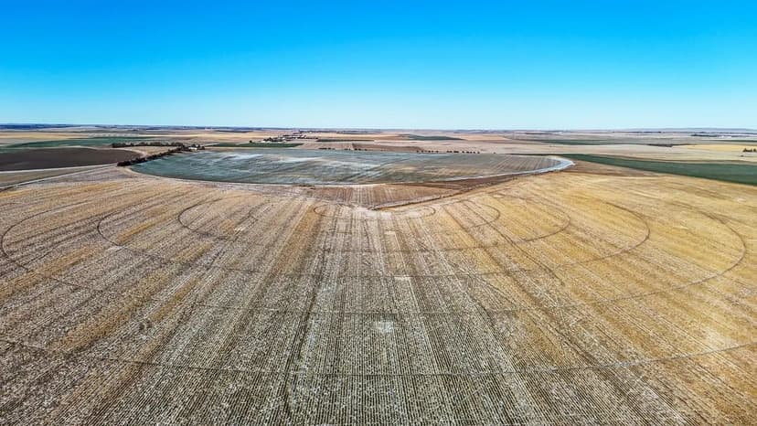 Irrigated Cropland with Valley Pivots & Good Road Access