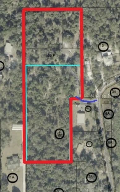 Vacant Land in Geneva - Geneva, Florida, 32732